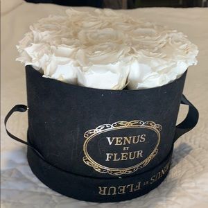 Venus et Fleur Forever Roses